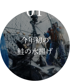 01.今年初の鮭の水揚げ