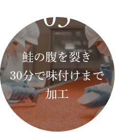 03.鮭の腹を裂き30分で味付けまで加工