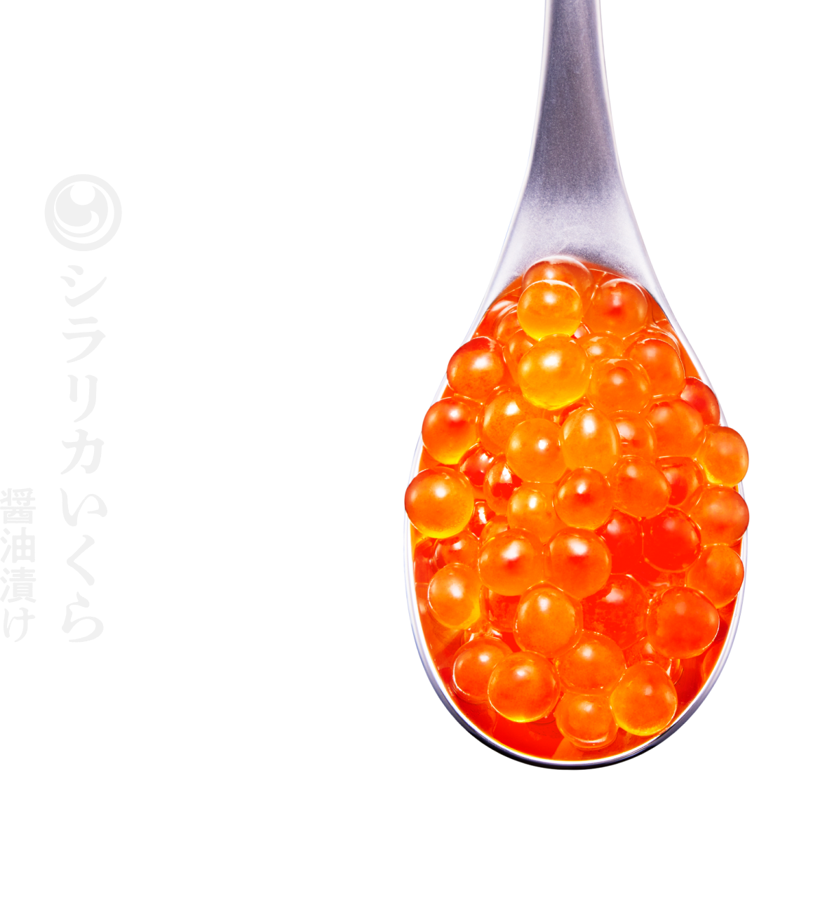 超新物 シラリカいくら醤油漬け 今季初物 プロ厳選 数量限定 白糠町発